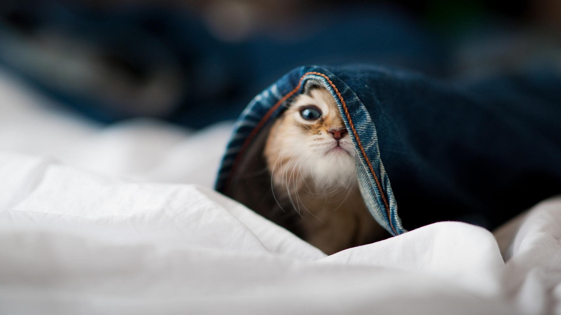 中国足球产业“智能制造”步伐加快,开启行业新时代,中国足球产业的现状分析