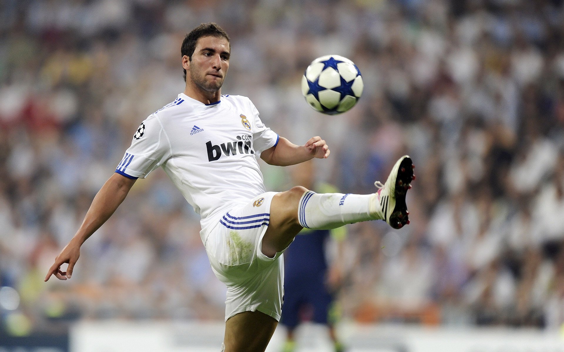 国际足球青少年锦标赛火热展开，未来之星亮相赛场，国际青少年足球俱乐部