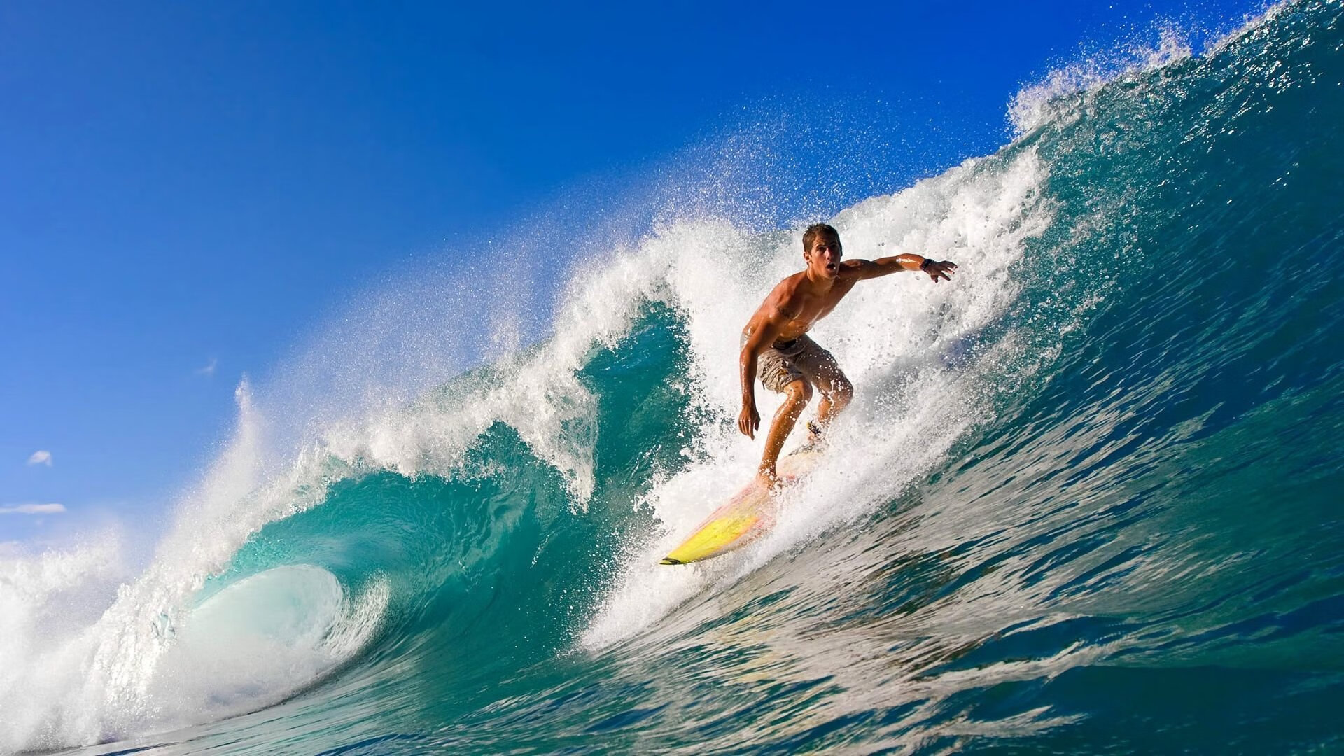 法国橄榄球队在世界杯赛场上的表现值得期待,法国橄榄球队2019年历